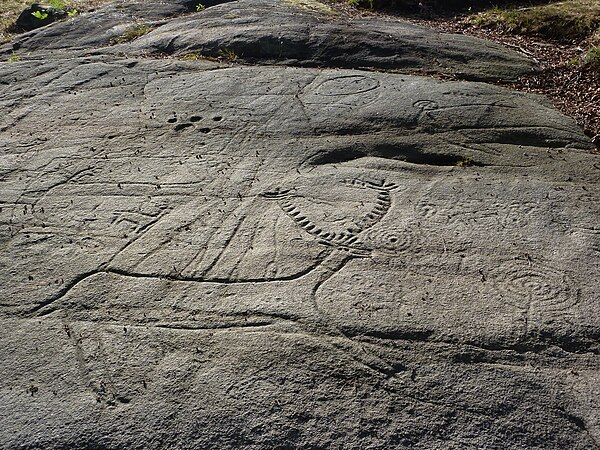 European petroglyphs: Laxe dos carballos in Campo Lameiro, Galicia, Spain (4th–2nd millennium BCE), depicting cup and ring marks and deer hunting scen