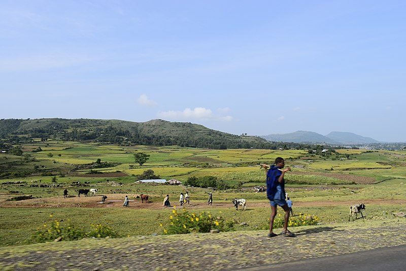 File:Life in Ethiopia.jpg