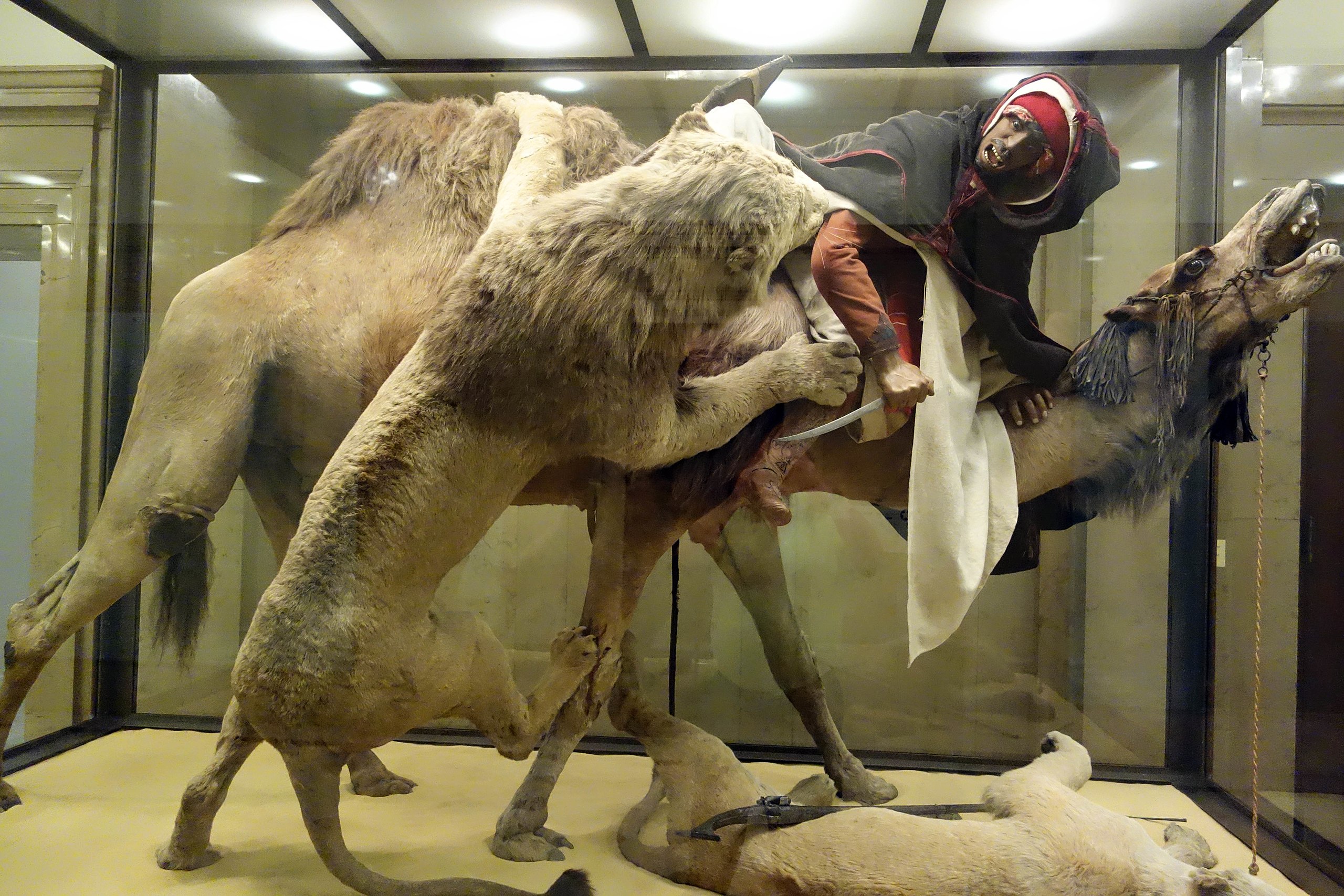 Althouse: They&#39;ve covered the popular &quot;Lion Attacking a Dromedary” diorama at the Carnegie Museum of Natural History in Pittsburgh — do you see why?