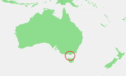 Bassinsalmi: Salmi Australian ja Tasmanian välissä