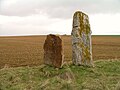 Les menhirs des Longrais.