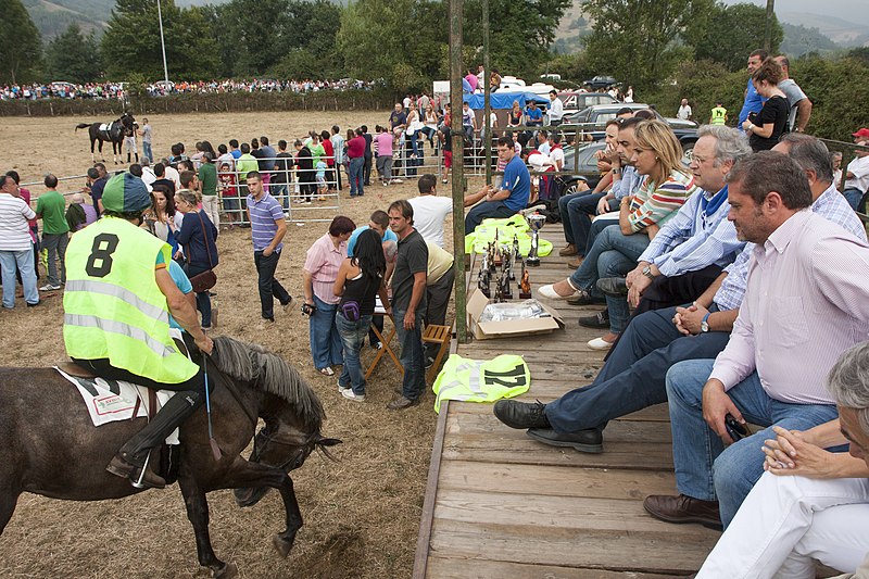 File:Los consejeros de Ganadería y Medio Ambiente asisten en Molledo a las tradicionales carreras de caballos durante las fiestas de la Virgen del Camino.jpg