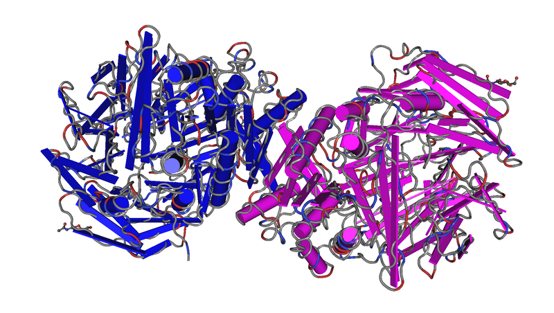 File:MMDB ID 23638 PDB ID 1PFQ Structure Of Human Apo Dipeptidyl Peptidase Iv Cd26.png