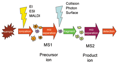 Mass spectrum observed by the 2 nd QMS at 48 by scanning the mass range