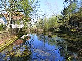 Stillgelegte Malbergbahn bei Bad Ems, Zustand April 2019Teich an der Bergstation