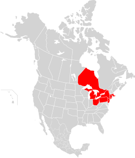 <span class="mw-page-title-main">Northeast blackout of 2003</span> Major power outage in August 2003 in North America