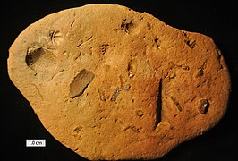 MeadvilleConcretion091912.jpg