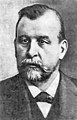 Nikolao Menŝutkin (1842-1907)