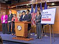 Black Maternal Health Caucus, 2020