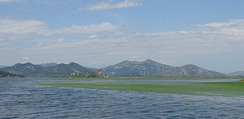 File:Montenegro Lake Skadar 05.jpg