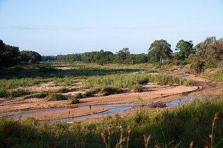 <span class="mw-page-title-main">N'waswitshaka River</span> River in Mpumalanga, South Africa