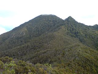 <span class="mw-page-title-main">Mount Hobson (Great Barrier Island)</span> Mountain in New Zealand