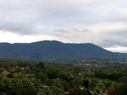 How to get to Dandenong Ranges with public transport- About the place