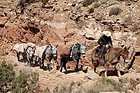 Grand Canyon on the South Kaibab trail