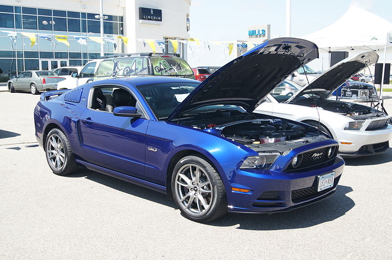 File:Mustang Round Up (14564817219).jpg