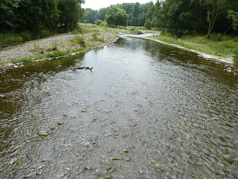 File:Národní přírodní památka Skalická Morávka (2).JPG