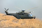 NH90 EI.jpg