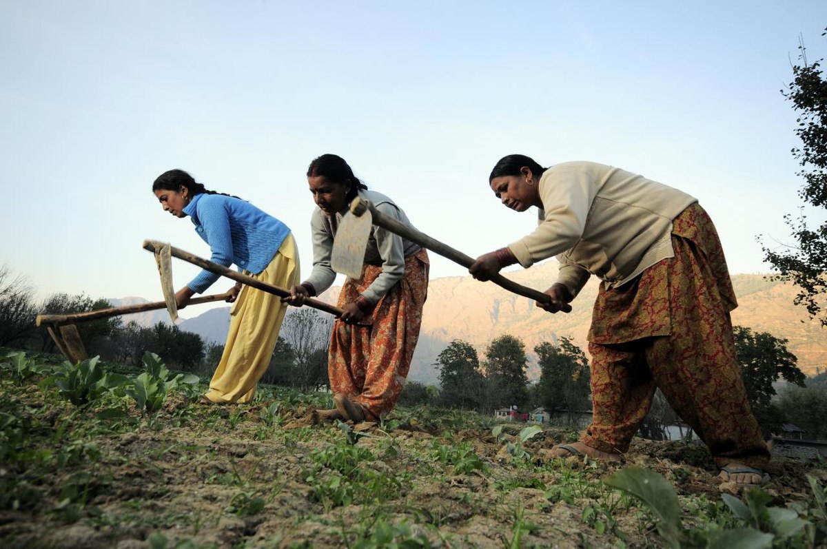 Women in agriculture in India photo image