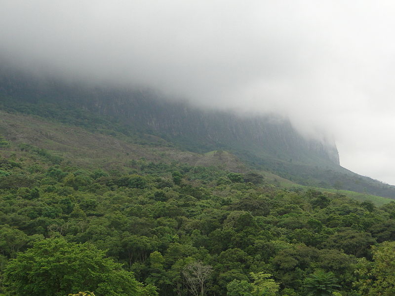 File:Neblina no paredão da Serra da Canastra.JPG