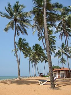 Negombo.jpg