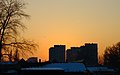 Čeština: Západ slunce v Novém Sadu - silueta panelových domů během zimního pozdního odpoledne, Vojvodina, Srbsko English: A sunset in Novi Sad, Serbia - some apartment blocks can be seen with an reddish hue of the sun during the late winter afternoon Српски / srpski: Запад сунца у Новом Саду, на Лиману. Солитери током касног послеподнева зими 2011 године