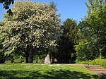 Jüdischer Friedhof (Oestrich)