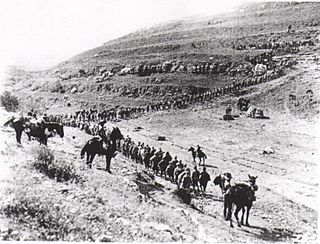 <span class="mw-page-title-main">First Battle of the Jordan</span> Battle fought during WWI