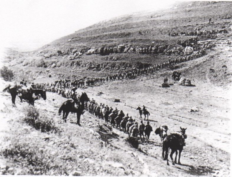 File:Ottoman prisoners being escorted from Es Salt.jpeg