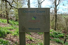 Oxmoorcopse.jpg