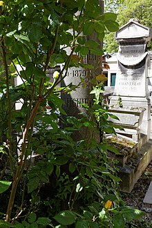 Père-Lachaise - Division 67 - Drzewo figowe 03.jpg