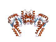 PDB 1f14 EBI.jpg