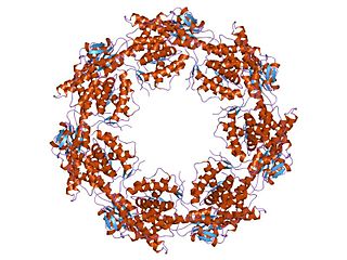 <span class="mw-page-title-main">Chaperonin</span> InterPro Family