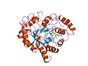 PDB 2iqd EBI.jpg