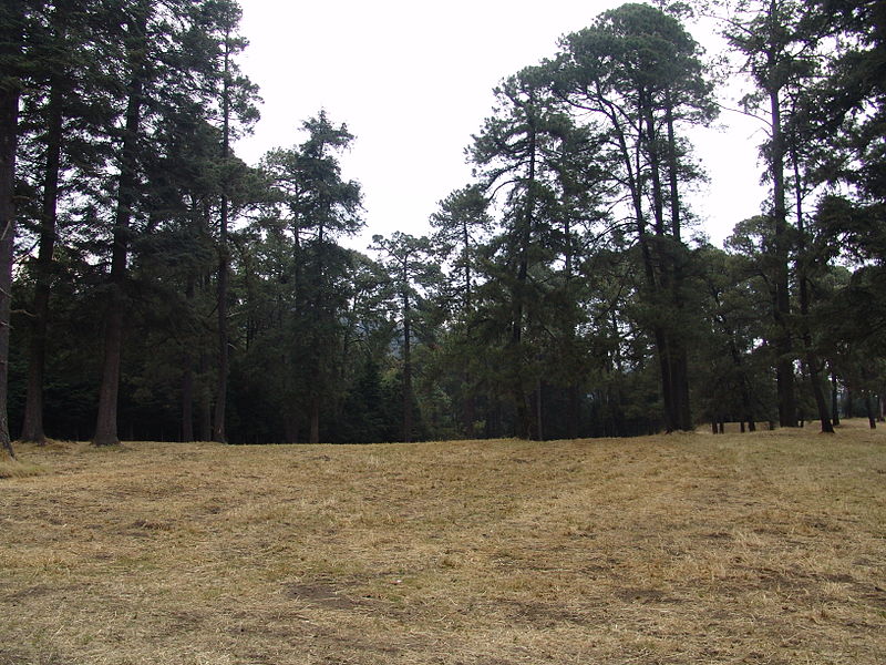 File:Paisaje del Ajuscos. (Tlalpan, Distrito Federal). 39.JPG