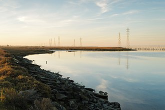 Palo Alto Baylands Nature Preserve Palo Alto Baylands January 2013 005.jpg