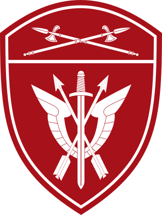 <span class="mw-page-title-main">SOBR</span> Spetsnaz unit of the National Guard of Russia