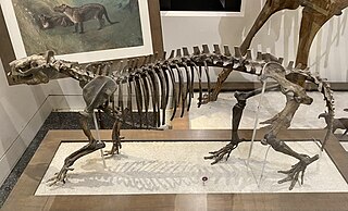 <i>Phenacodus</i> Genus of mammals (fossil)