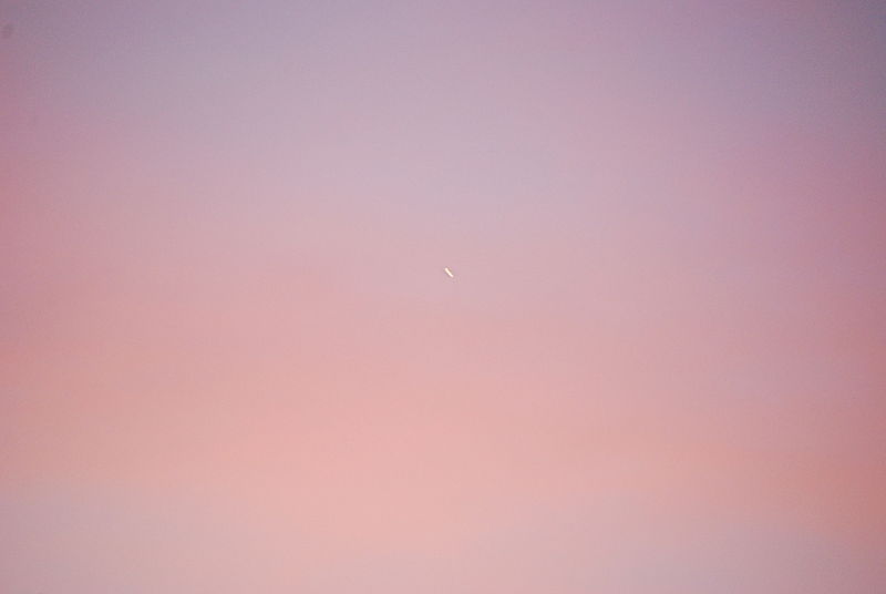 File:Pink and blue, early star (6994960537).jpg