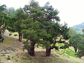 Bu görüntünün açıklaması, aşağıda da yorumlanmıştır