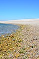 * Nomination: Shingle beach of Goury (Manche, Basse-Normandie, France). -- Gzzz 21:42, 31 July 2012 (UTC) * * Review needed