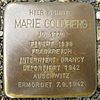 Plauen, Stolperstein Marie Goldberg - Neundorfer Straße 16.jpg