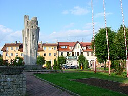 Pomnik na trójkątnym Starym Rynku, ku pamięci poległych w walkach o niepodległość miasta, ul. Pl. Wolności..jpg