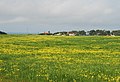 Country view, Porto Covo