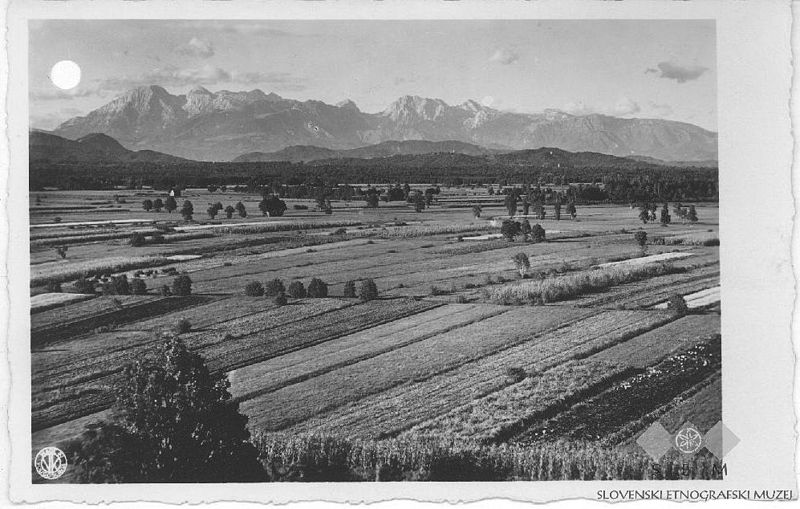 File:Postcard of Ljubljana marsh (2).jpg