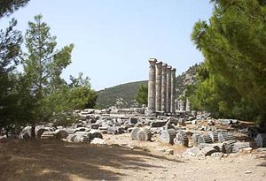 Priene: Geschichte, Archäologie, Rezeption