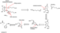 תמונה ממוזערת לגרסה מ־00:51, 2 בדצמבר 2013