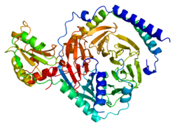 Ақуыз GNB1 PDB 1a0r.png