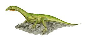 Protorosaurus BW.jpg