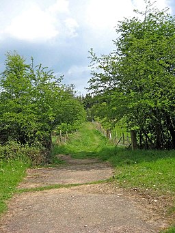 Public footpath from Wyre Forest to the village of Buttonoak - geograph.org.uk - 1855512