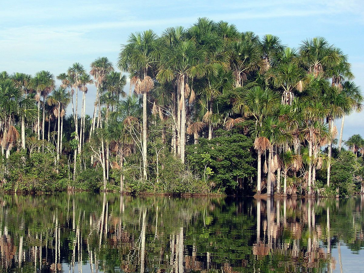 Lake Sandoval - Wikipedia